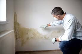 Best Forensic Mold Investigation  in St Marys, PA